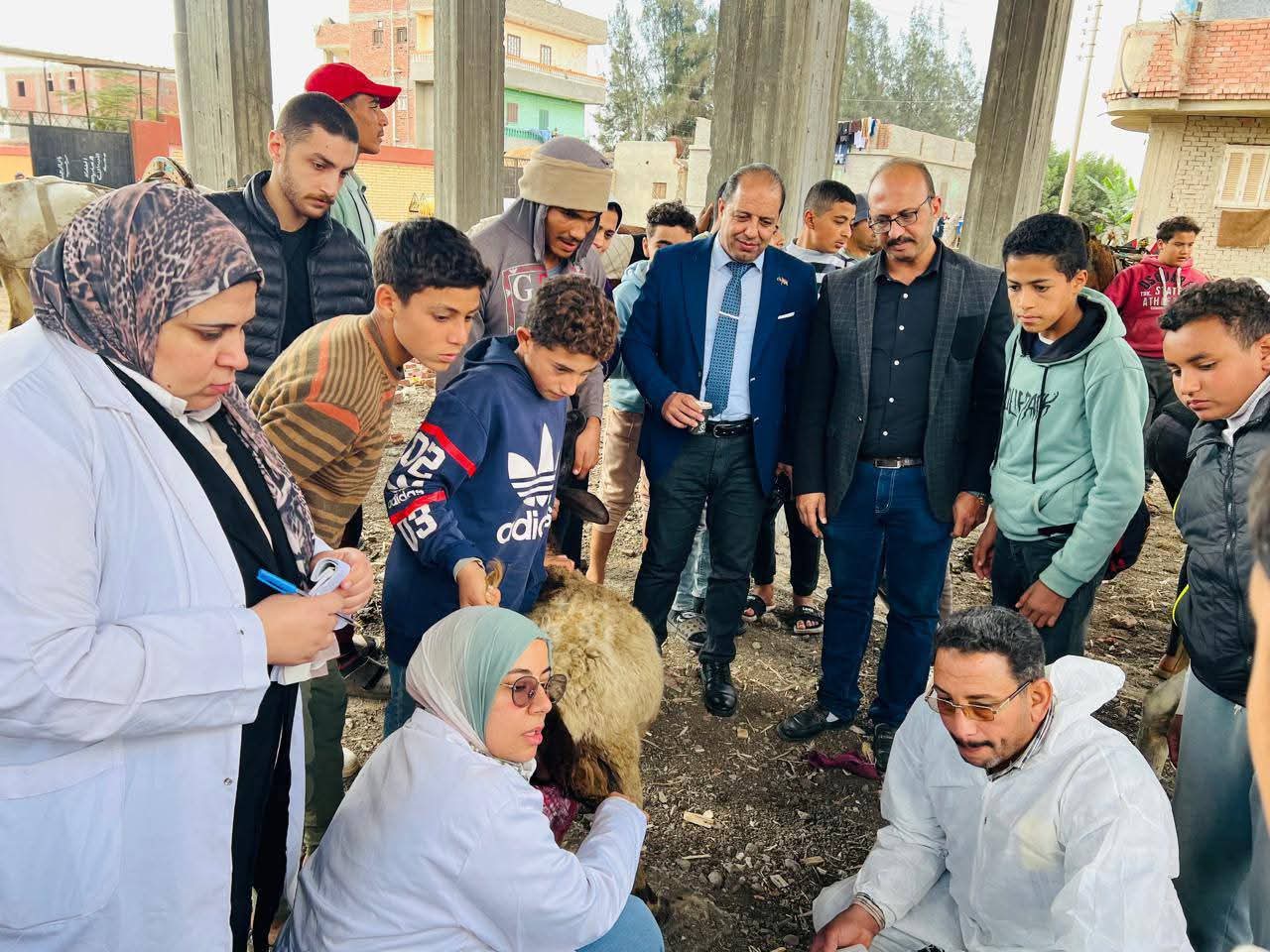 علاج وتحصين 3265 رأس ماشية وطيور فى قافلة بيطرية بالسنبلاوين  الدقهلية