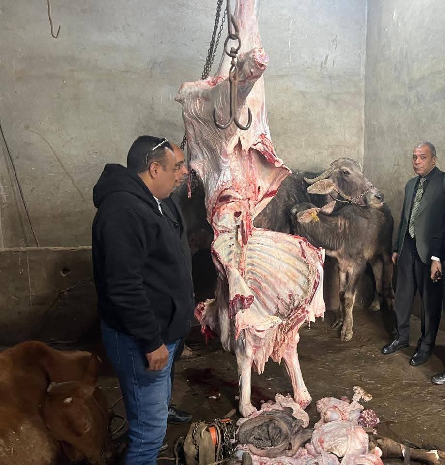 "الزراعة" تضبط 189 طنًا من اللحوم غير المطابقة للاشتراطات الصحية خلال أسبوع