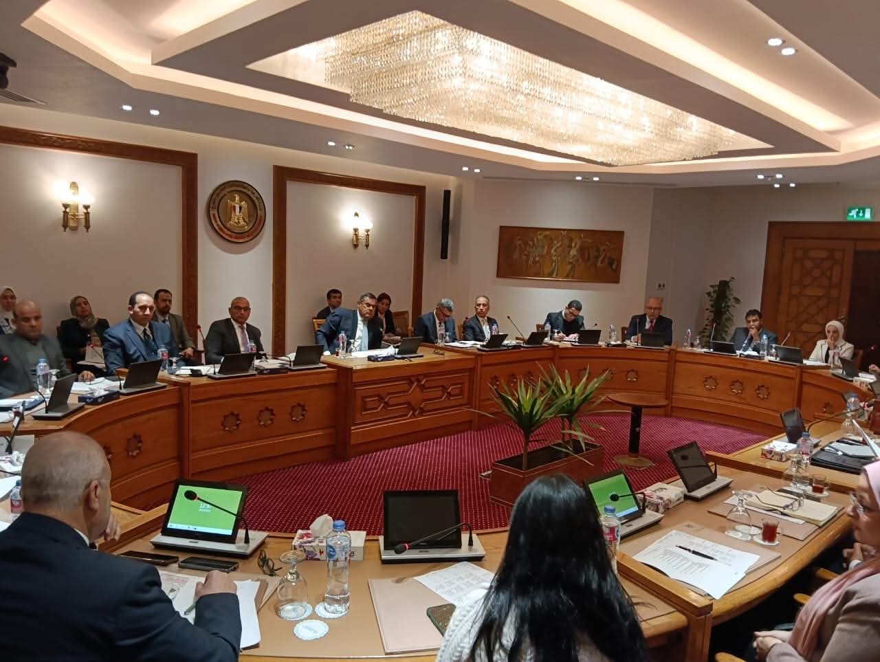انعقاد اللجنة الدائمة لمتابعة العلاقات المصرية الإفريقية