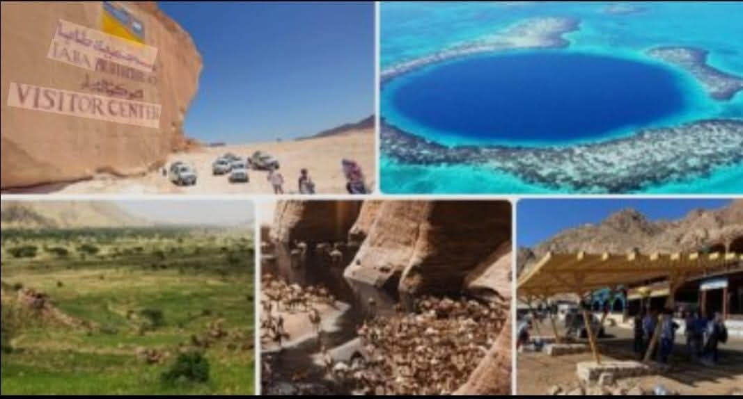 المحميات الطبيعية في مصر.. كنوز بيئية وفرص استثمارية تنبض بحياة المجتمعات المحلية