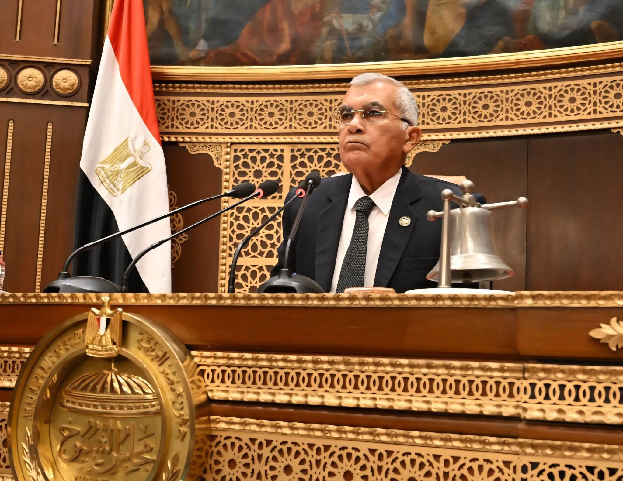 مجلس الشيوخ يوافق نهائيًا على تعديل بعض أحكام قانون الكهرباء