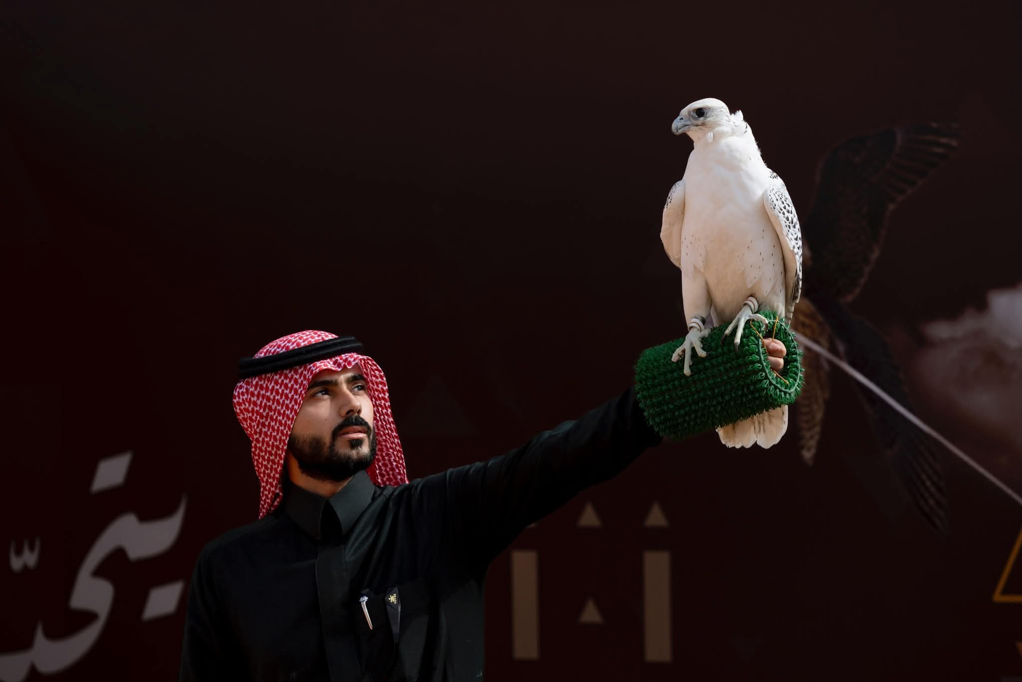 مهرجان الصقور السعودى ينطلق غداً بجوائز مالية 38 مليون ريال