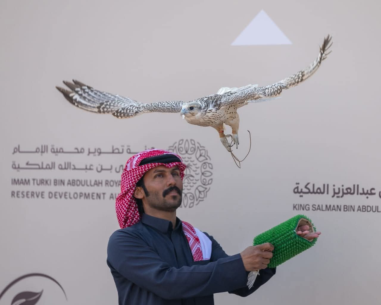 مهرجان الملك عبدالعزيز للصقور.. أكبر تجمع عالمى