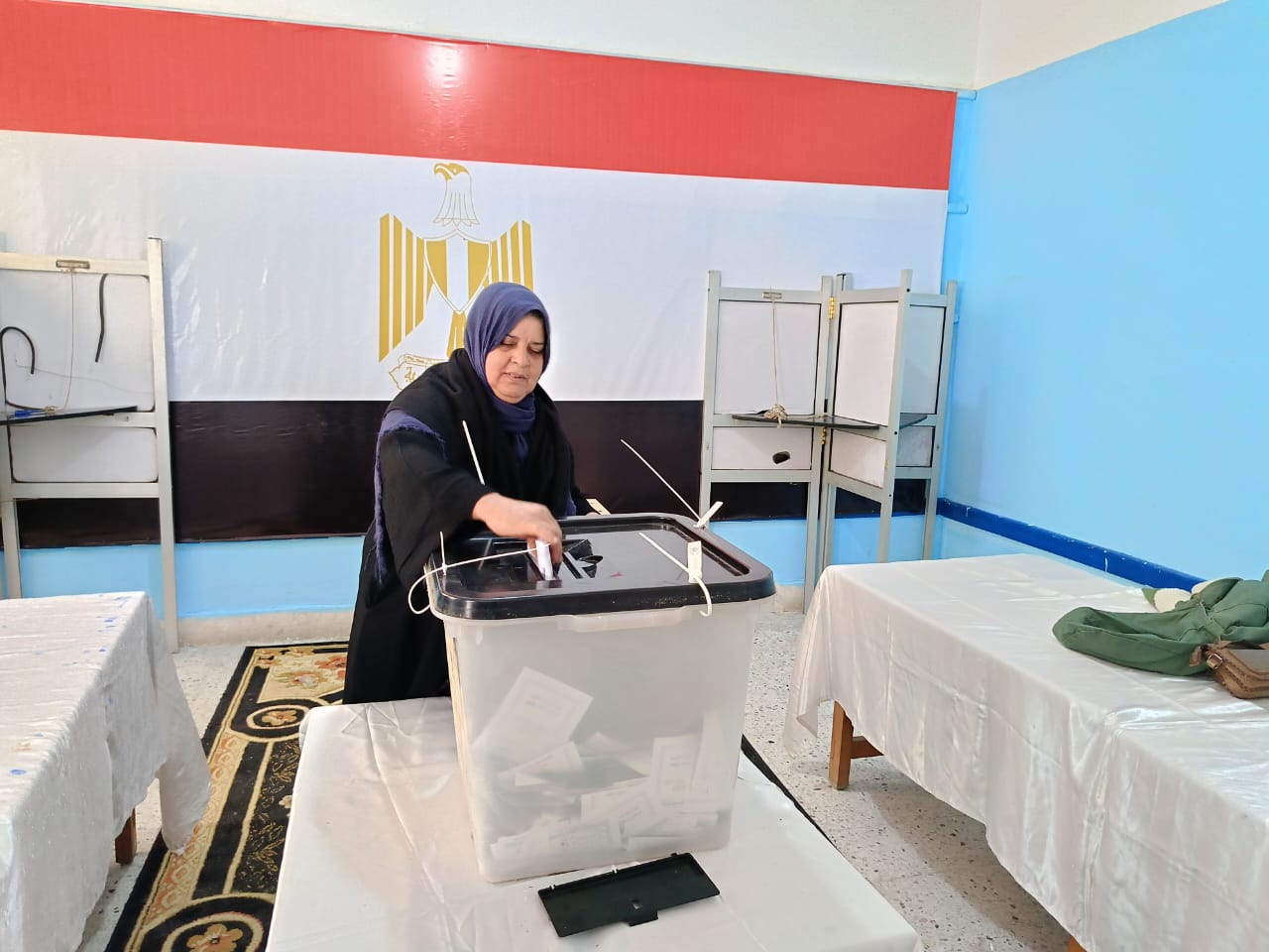 طوابير لليوم الثاني.. توافد الناخبين على لجان المنتزه في الإسكندرية بانتخابات مجلس النواب