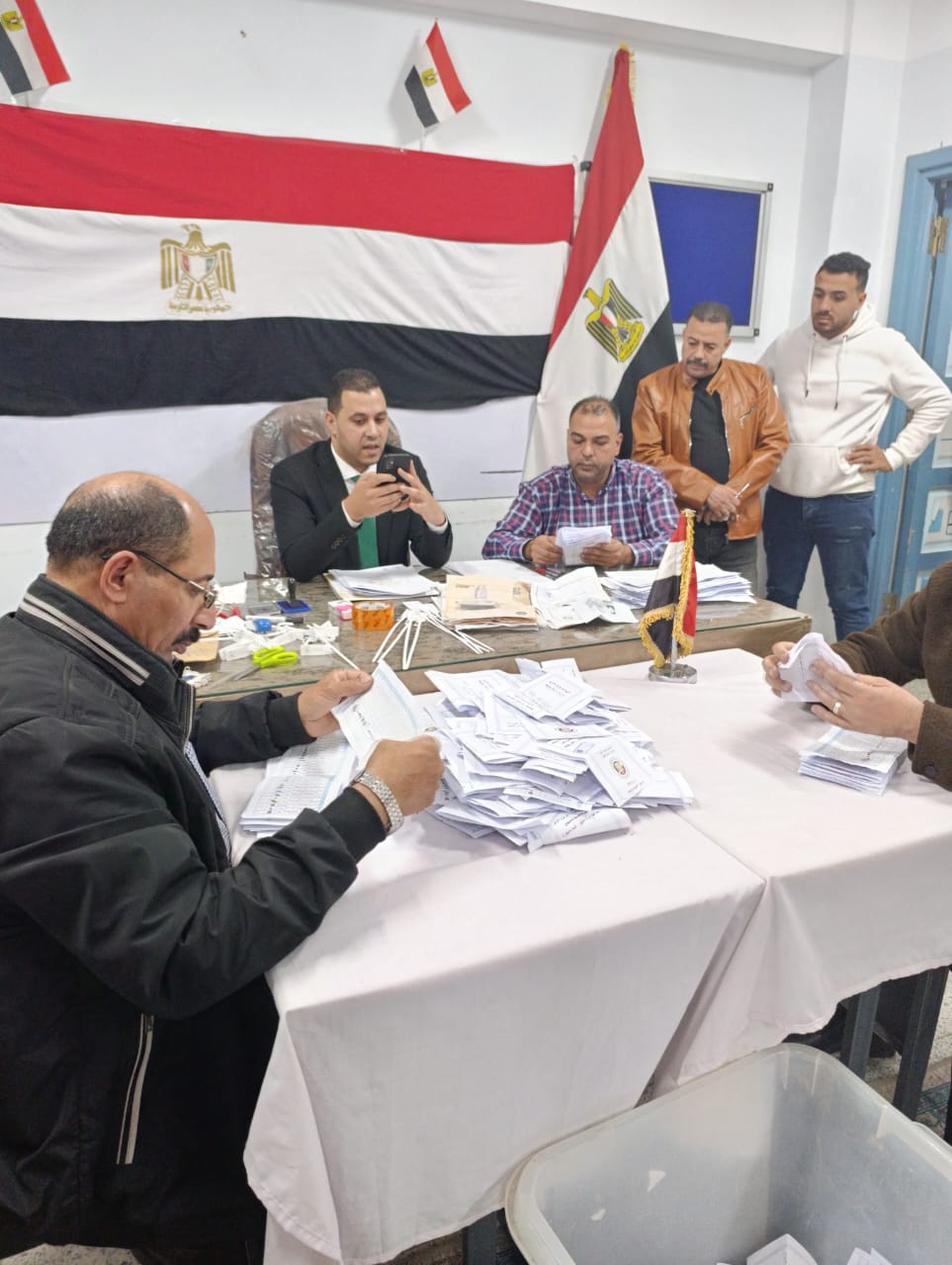 فرز أصوات الناخبين فى لجان الدوائر الملغاة بـ 7 محافظات