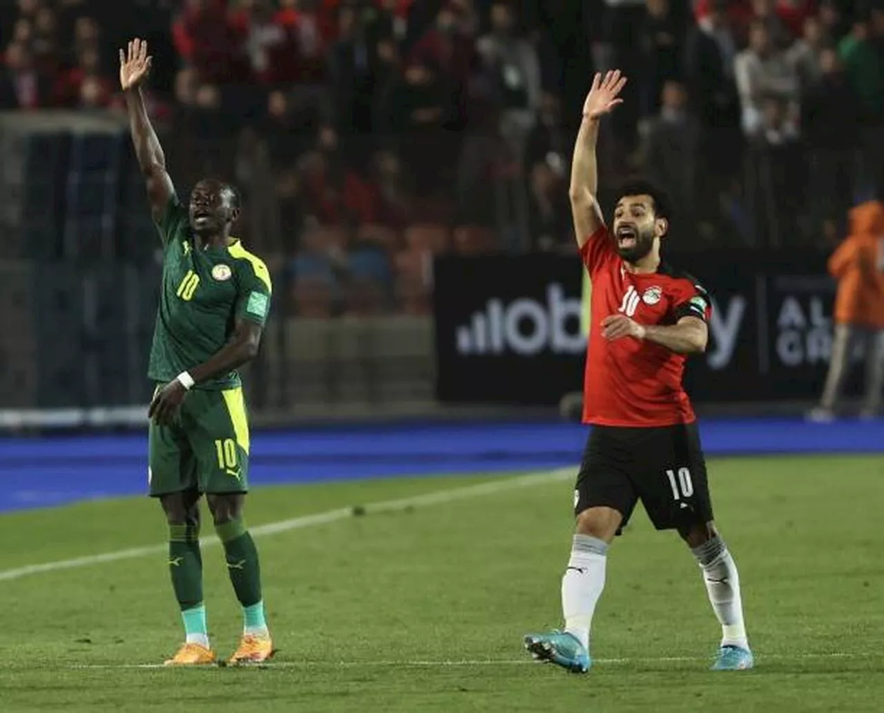 نزلها الآن.. تردد القناة الجزائرية الأرضية الناقلة لمباراة مصر والسنغال في نصف نهائي كأس أمم أفريقيا 