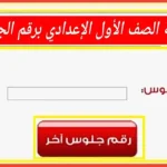 نتيجة الصف الأول الإعدادي