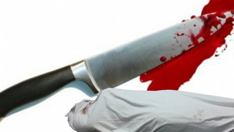 بـ8 طعنات.. شقيقان يمزقان جسد والدهما بسكين المطبخ فى دمنهور الوحش بالغربية