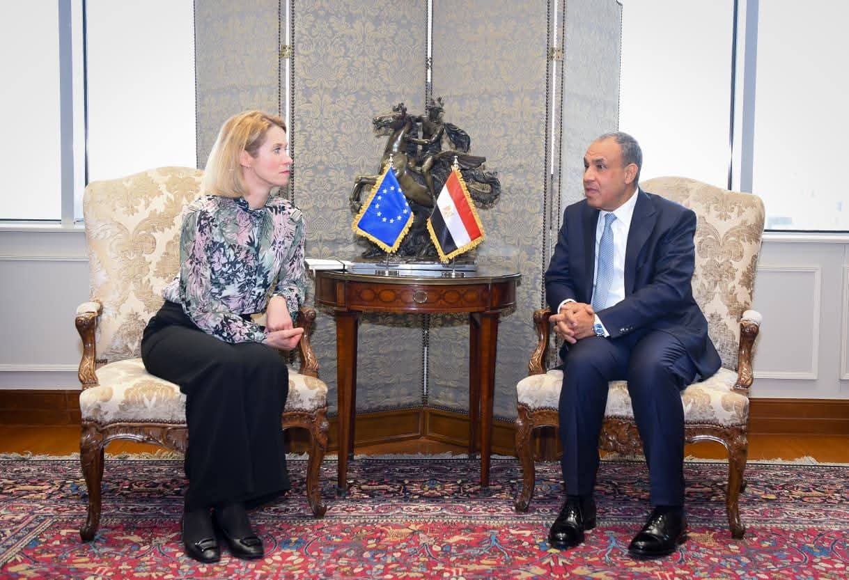 وزير الخارجية يؤكد أهمية أهمية تفعيل المنصة المصرية الأوروبية للاستثمار