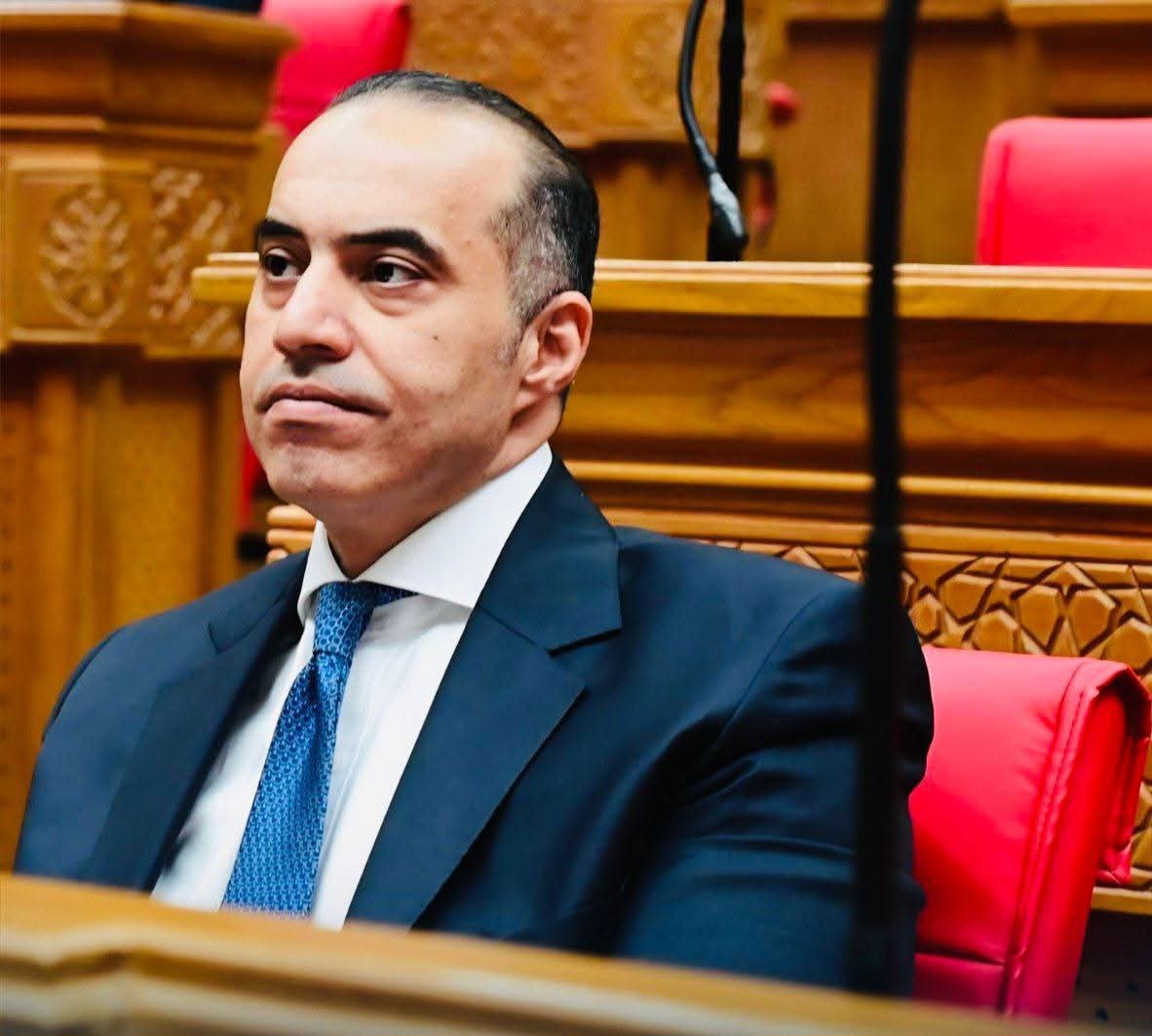 محمود فوزي: اللجان النوعية تمثل مطابخ التشريع والذراع الرقابية الأعمق بالنواب