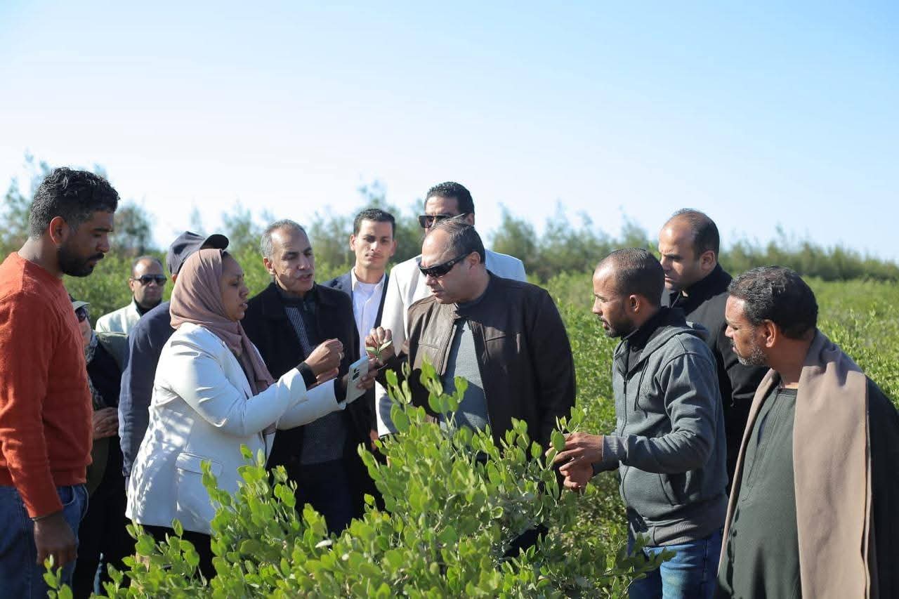 رئيس تنمية الصعيد يتفقد عملية حصاد محصول الجوجوبا بمحافظة البحر الأحمر - الخبر لايف