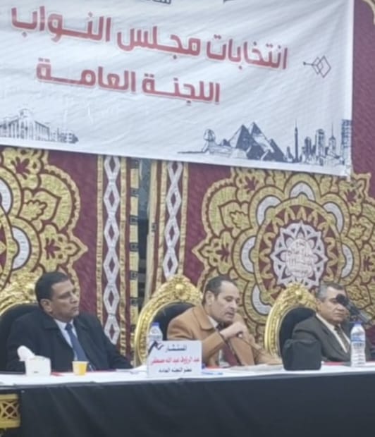 فوز مرشد وبلتاجى بمقعدى الدائرة التاسعة بالبحيرة