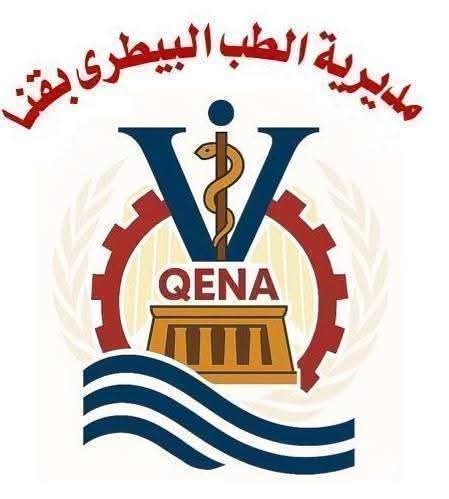 من أجل شوارع آمنة.. تطعيم وتحصين 450 كلبًا ضالًا ضمن حملات الطب البيطري بقنا
