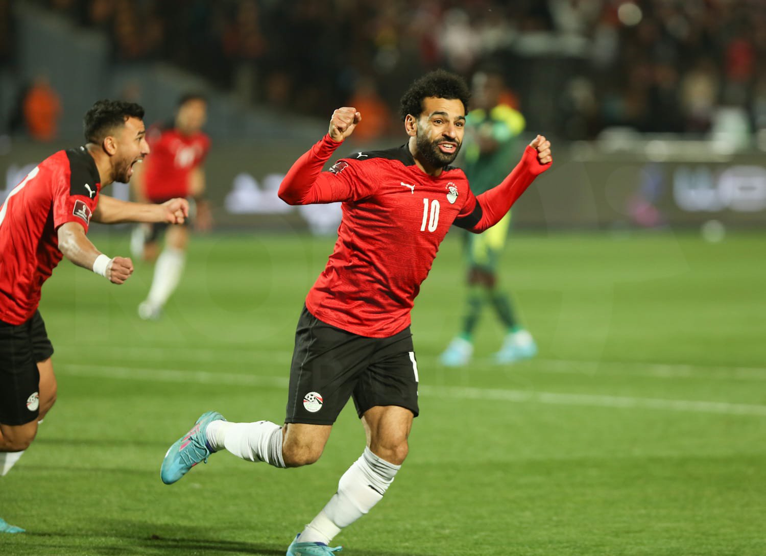موعد مباراة مصر والسنغال في نصف نهائي كأس الأمم الأفريقية