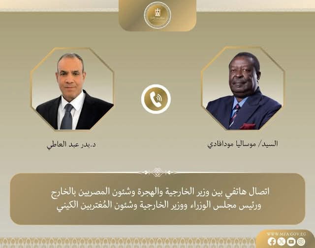 وزير الخارجية يبحث مع نظيره الكينى تعزيز العلاقات الثنائية والتنسيق والتشاور إزاء القضايا الإقليمية والقارية